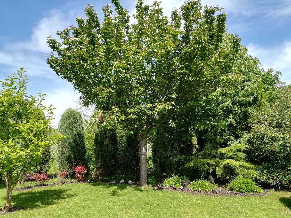 Voelgy Apartman Eger Esterno foto