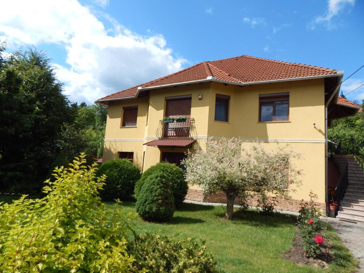 Voelgy Apartman Eger Esterno foto
