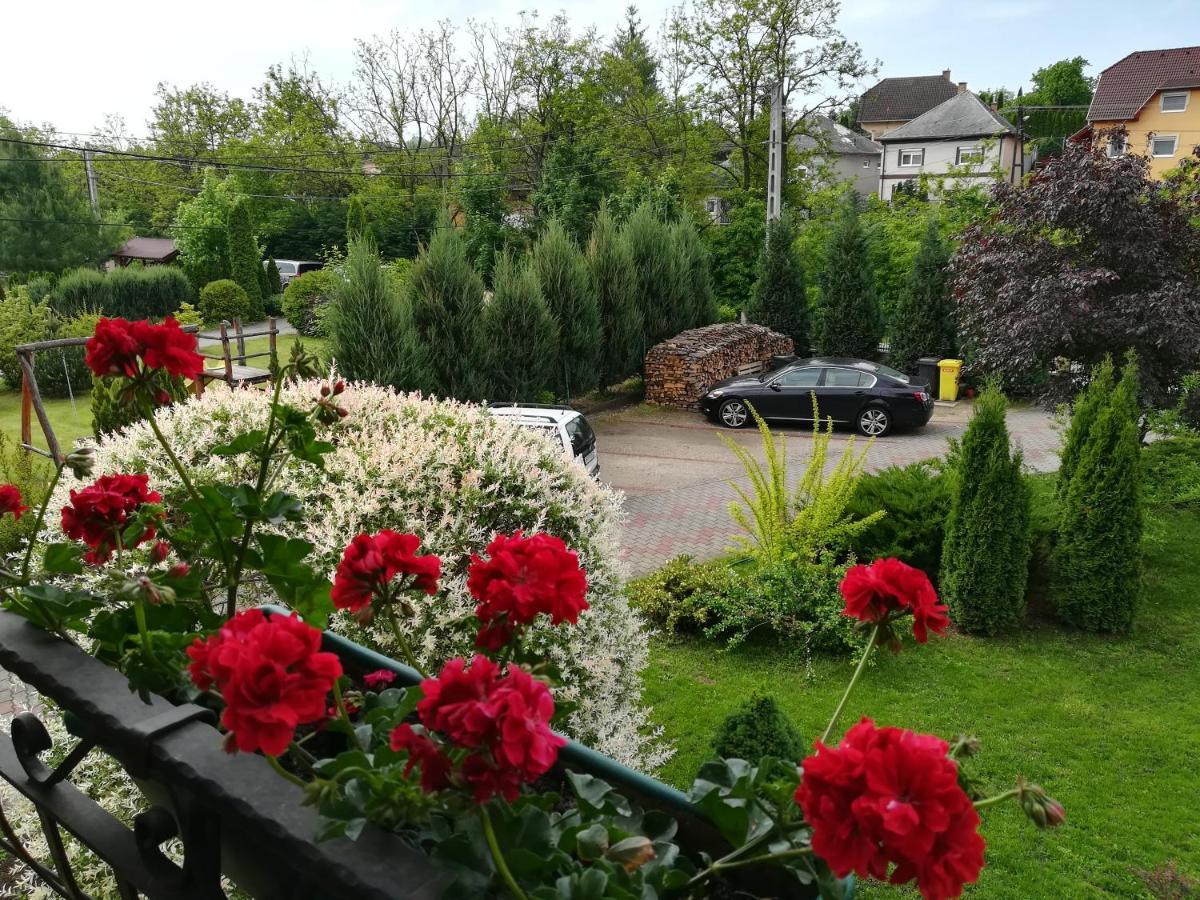 Voelgy Apartman Eger Esterno foto